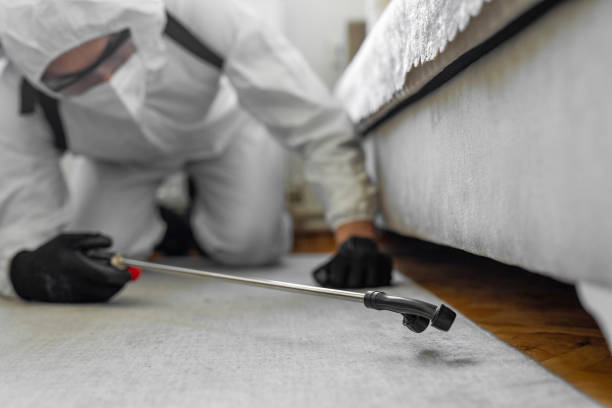 Professional Bed Bug Control technician working in Ellendale, ND